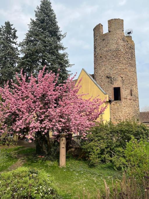 La Jolie Maison Bleue, Au Coeur De L'Alsace Kaysersberg-Vignoble Kültér fotó