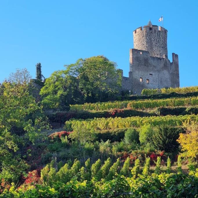 La Jolie Maison Bleue, Au Coeur De L'Alsace Kaysersberg-Vignoble Kültér fotó