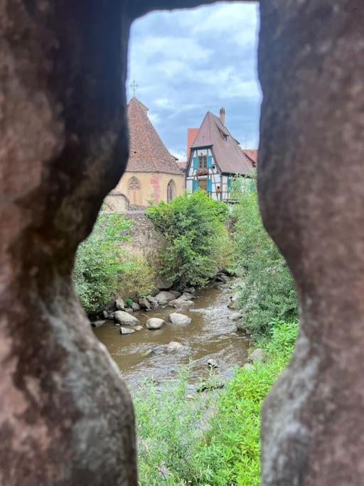 La Jolie Maison Bleue, Au Coeur De L'Alsace Kaysersberg-Vignoble Kültér fotó
