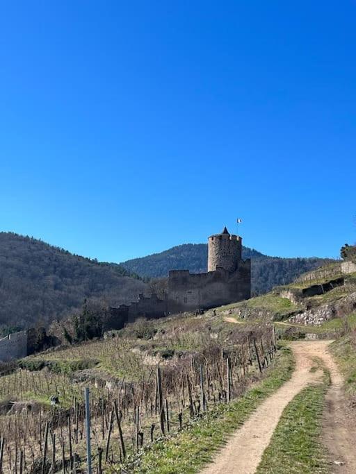 La Jolie Maison Bleue, Au Coeur De L'Alsace Kaysersberg-Vignoble Kültér fotó